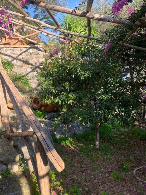 Villa Hermosa Costiera Amalfitana Esterno foto