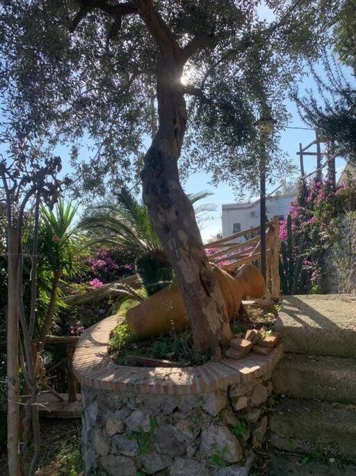 Villa Hermosa Costiera Amalfitana Esterno foto